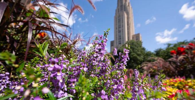 campus in summer